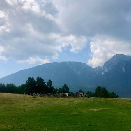 Pensiunea Poiana Viselor Poiana Mărului Exterior foto