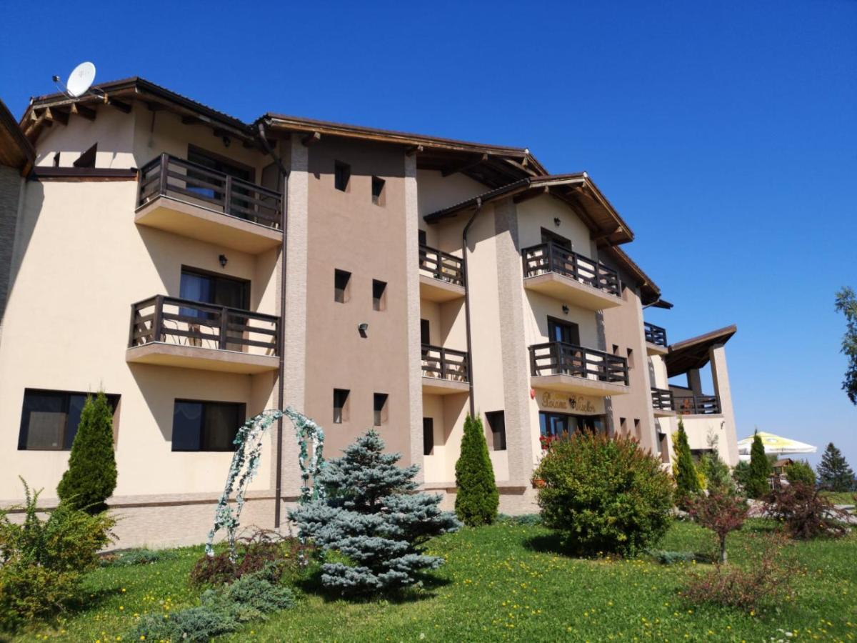 Pensiunea Poiana Viselor Poiana Mărului Exterior foto
