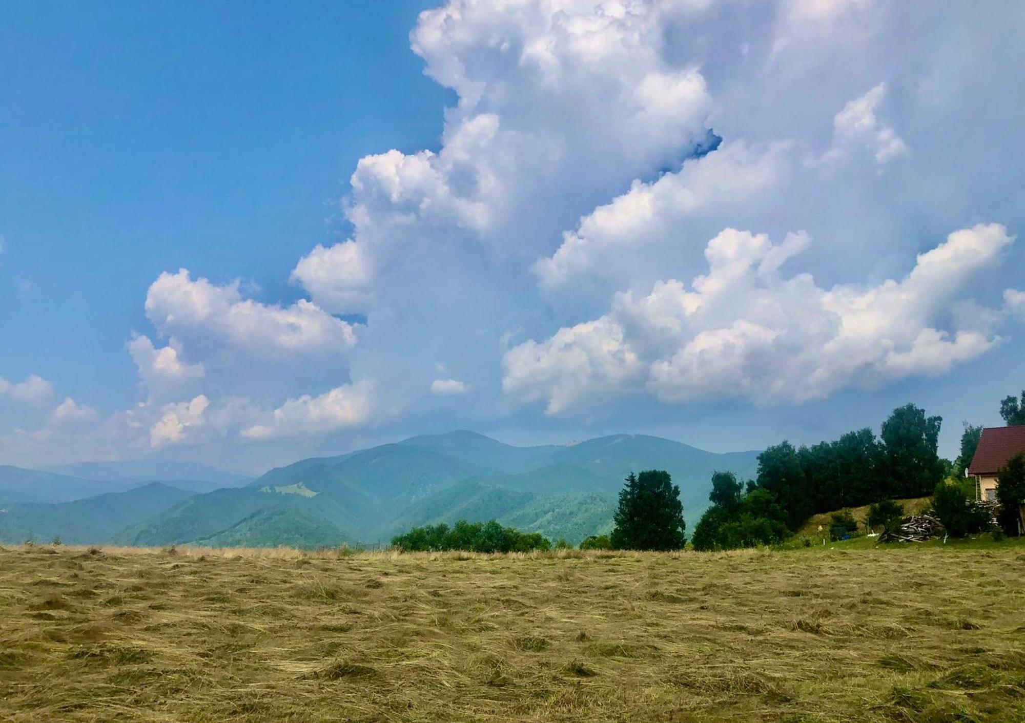 Pensiunea Poiana Viselor Poiana Mărului Exterior foto