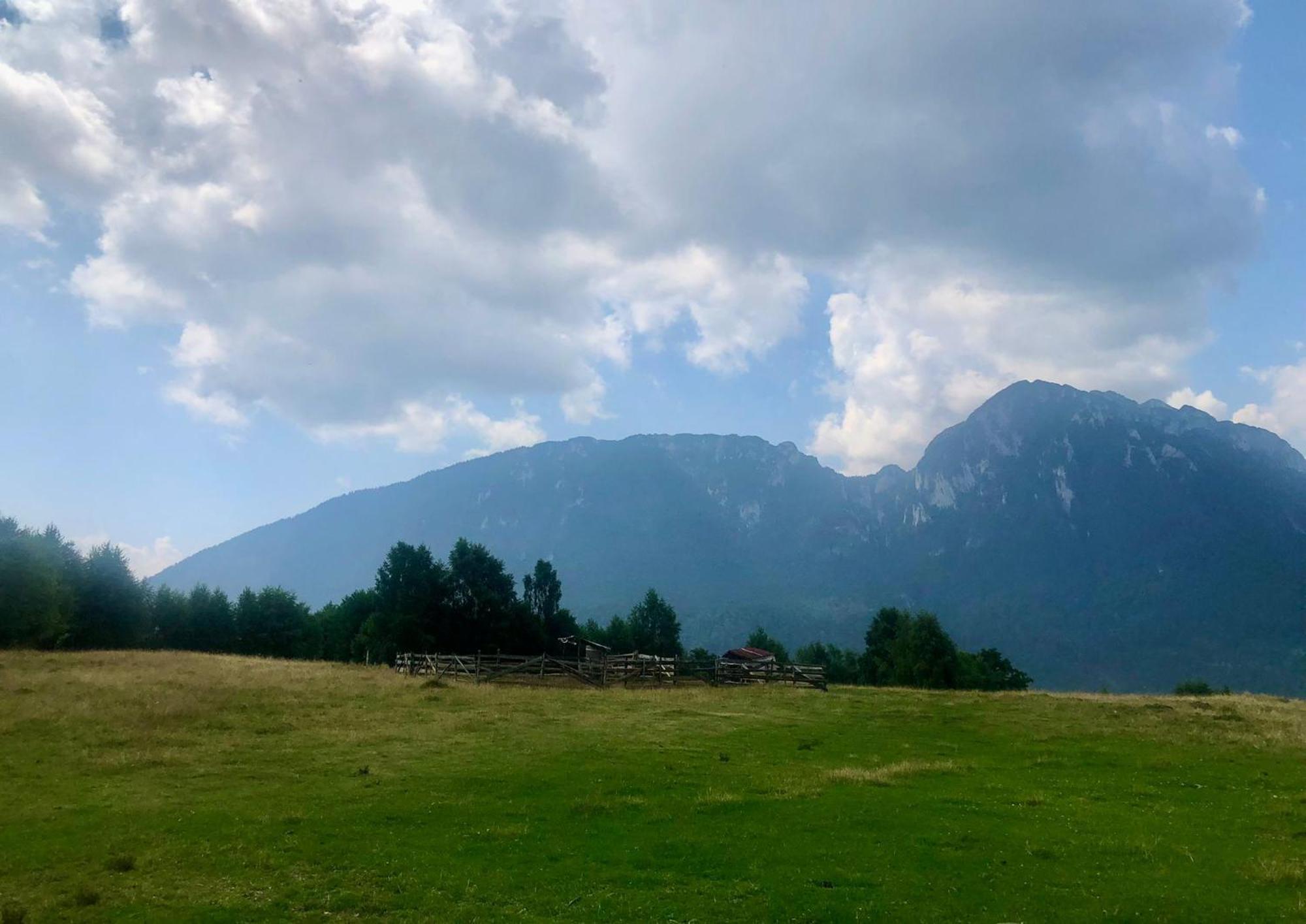 Pensiunea Poiana Viselor Poiana Mărului Exterior foto