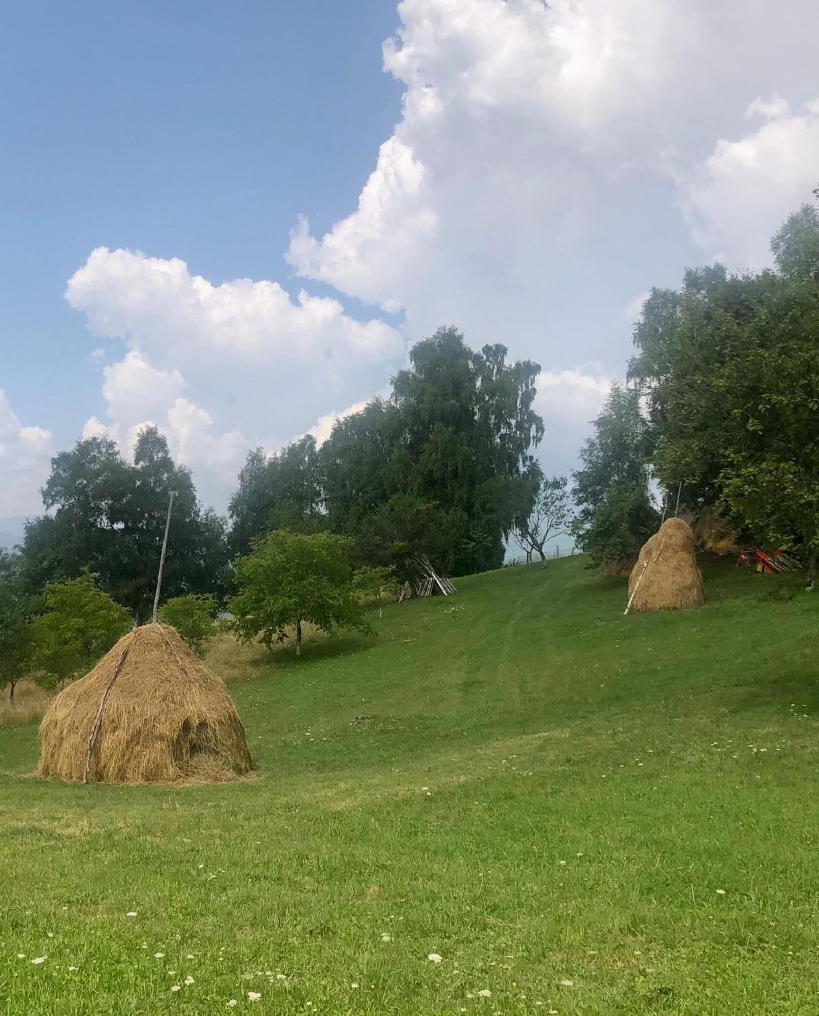 Pensiunea Poiana Viselor Poiana Mărului Exterior foto