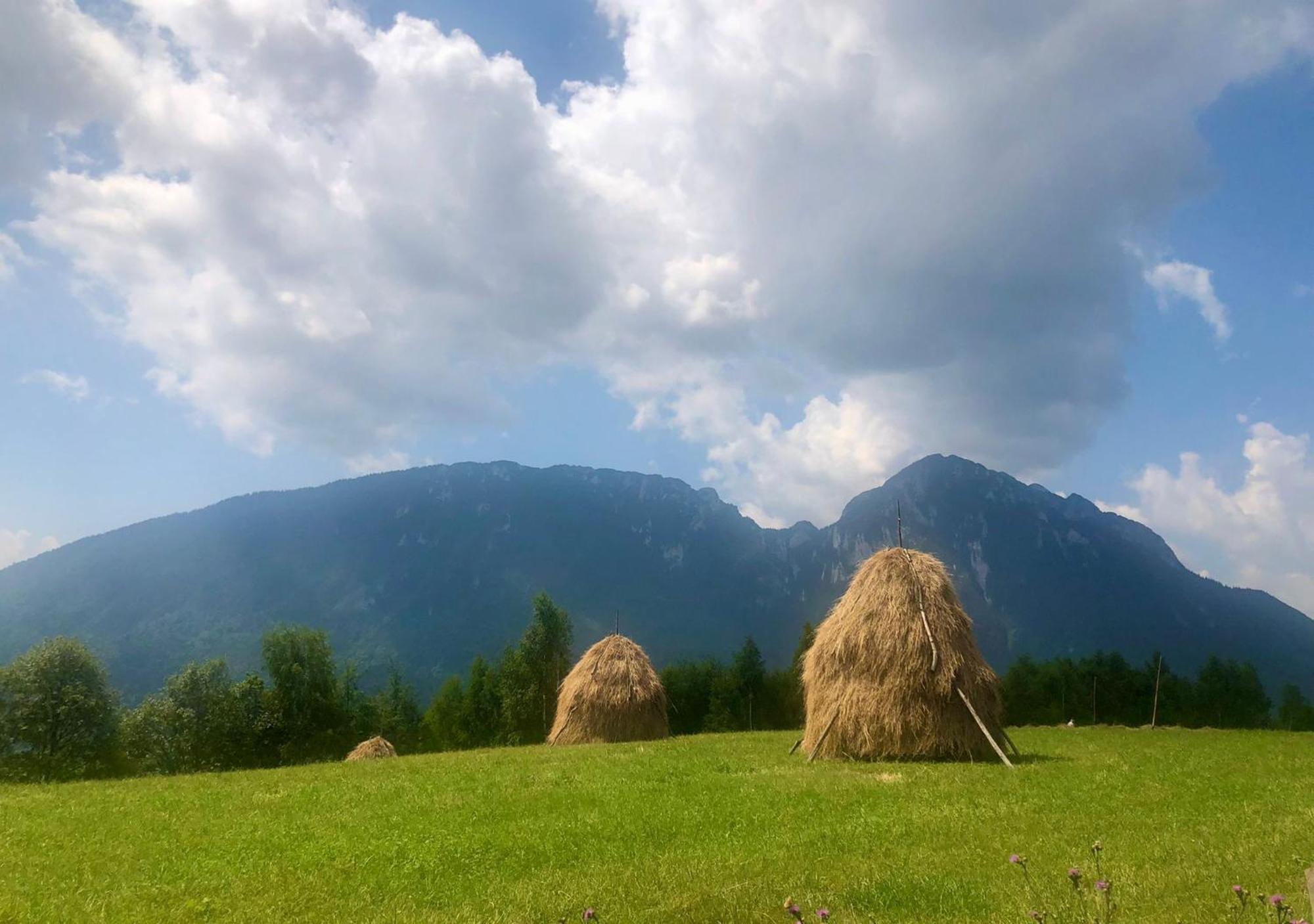 Pensiunea Poiana Viselor Poiana Mărului Exterior foto