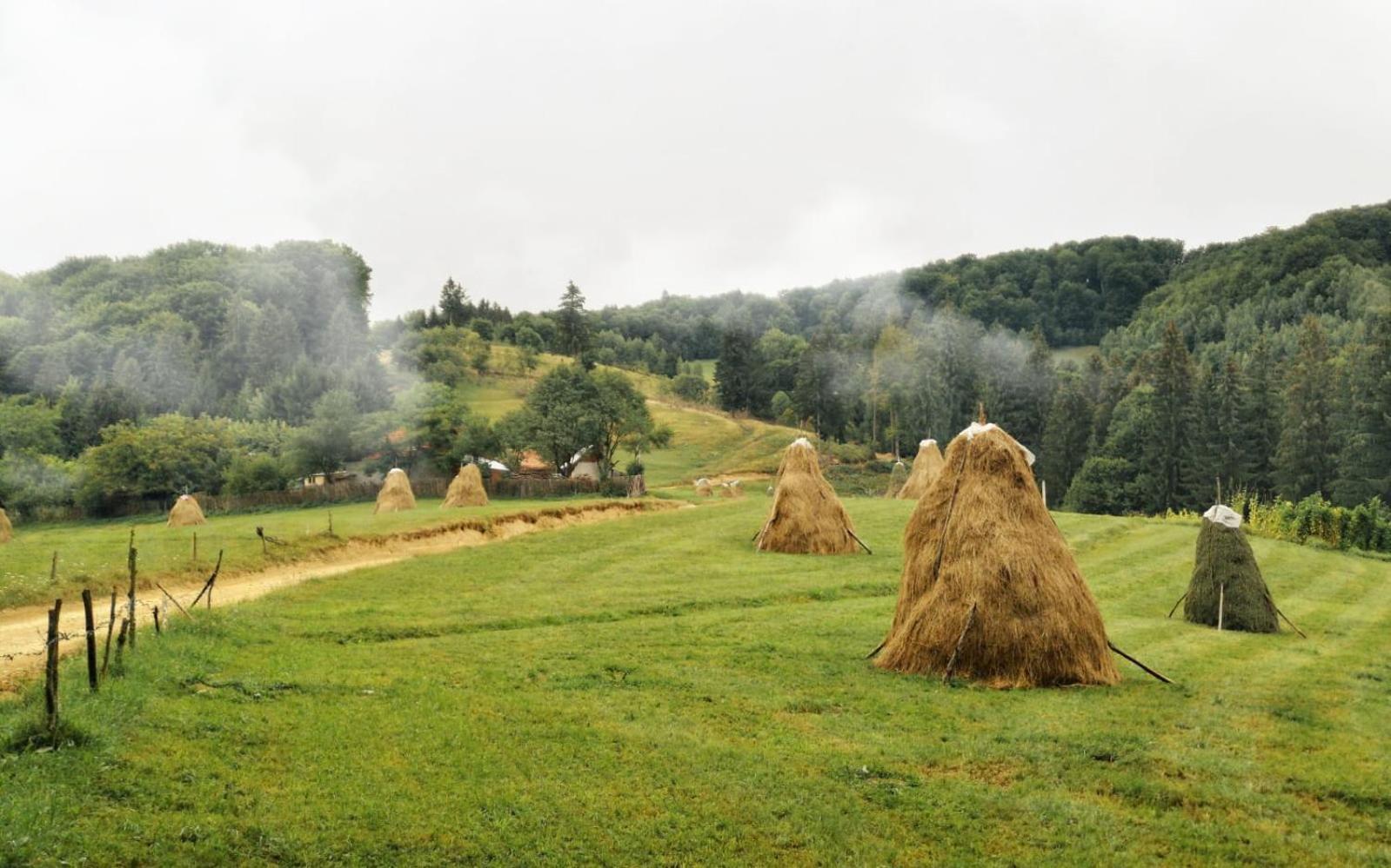 Pensiunea Poiana Viselor Poiana Mărului Exterior foto