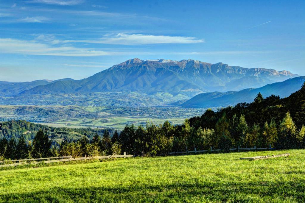 Pensiunea Poiana Viselor Poiana Mărului Exterior foto