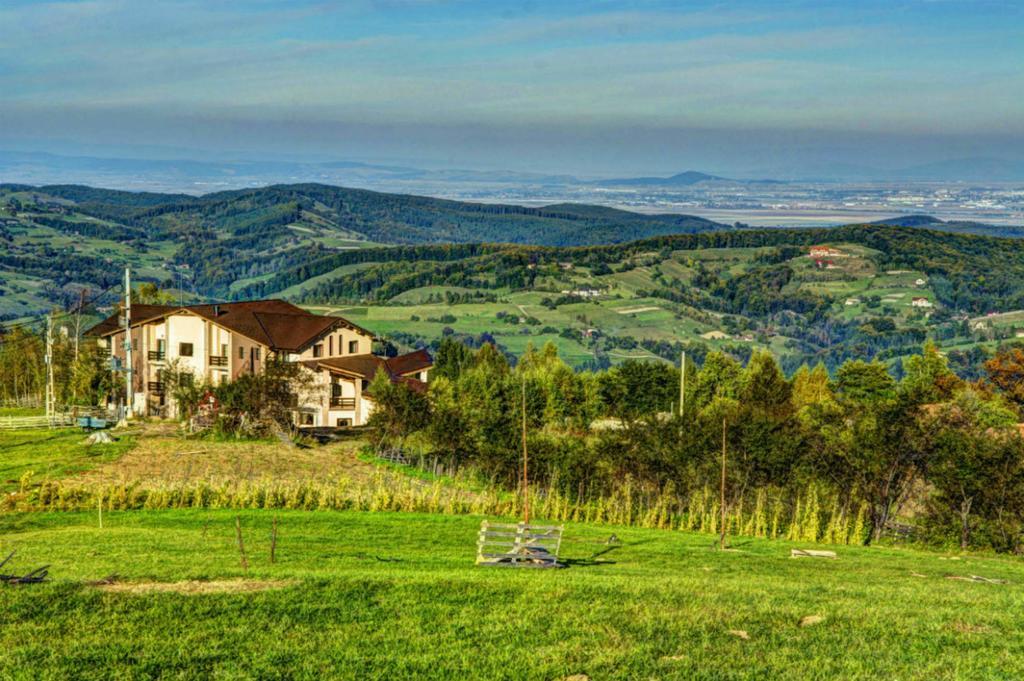 Pensiunea Poiana Viselor Poiana Mărului Exterior foto