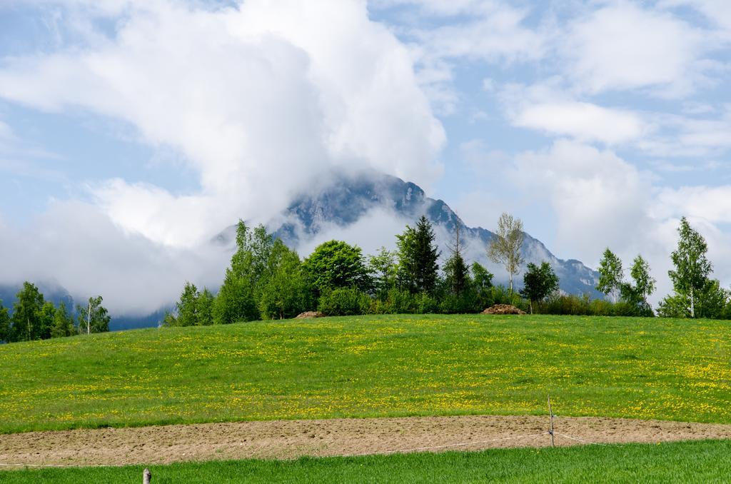 Pensiunea Poiana Viselor Poiana Mărului Exterior foto