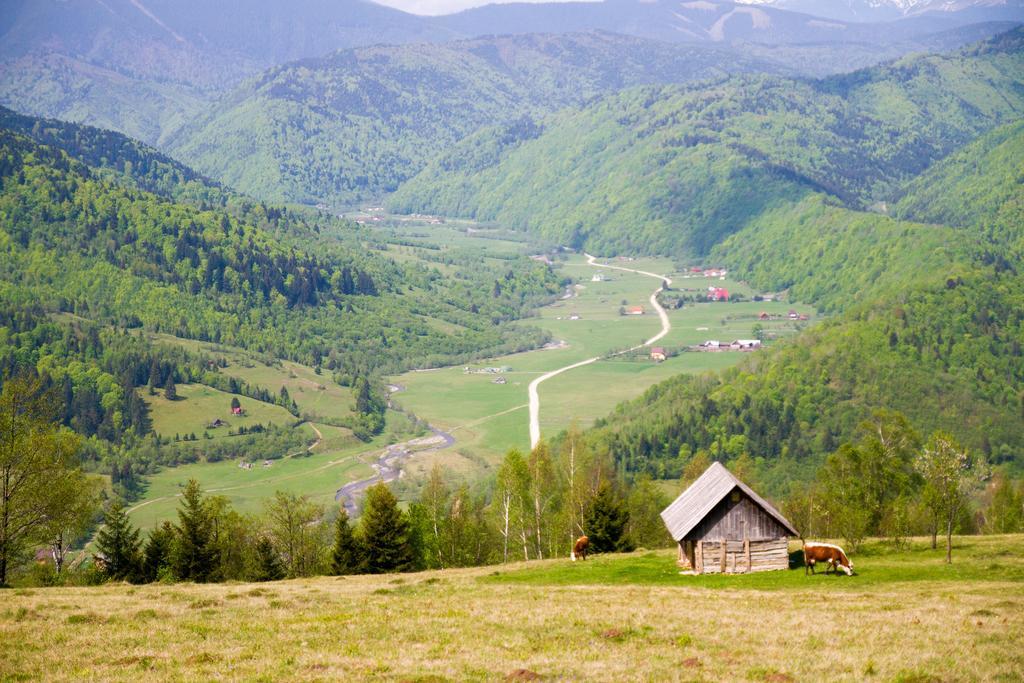 Pensiunea Poiana Viselor Poiana Mărului Exterior foto