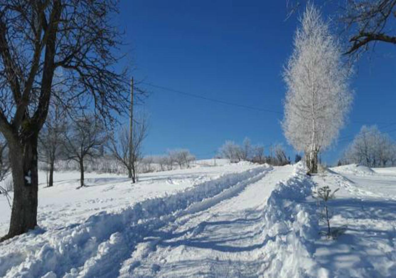 Pensiunea Poiana Viselor Poiana Mărului Exterior foto