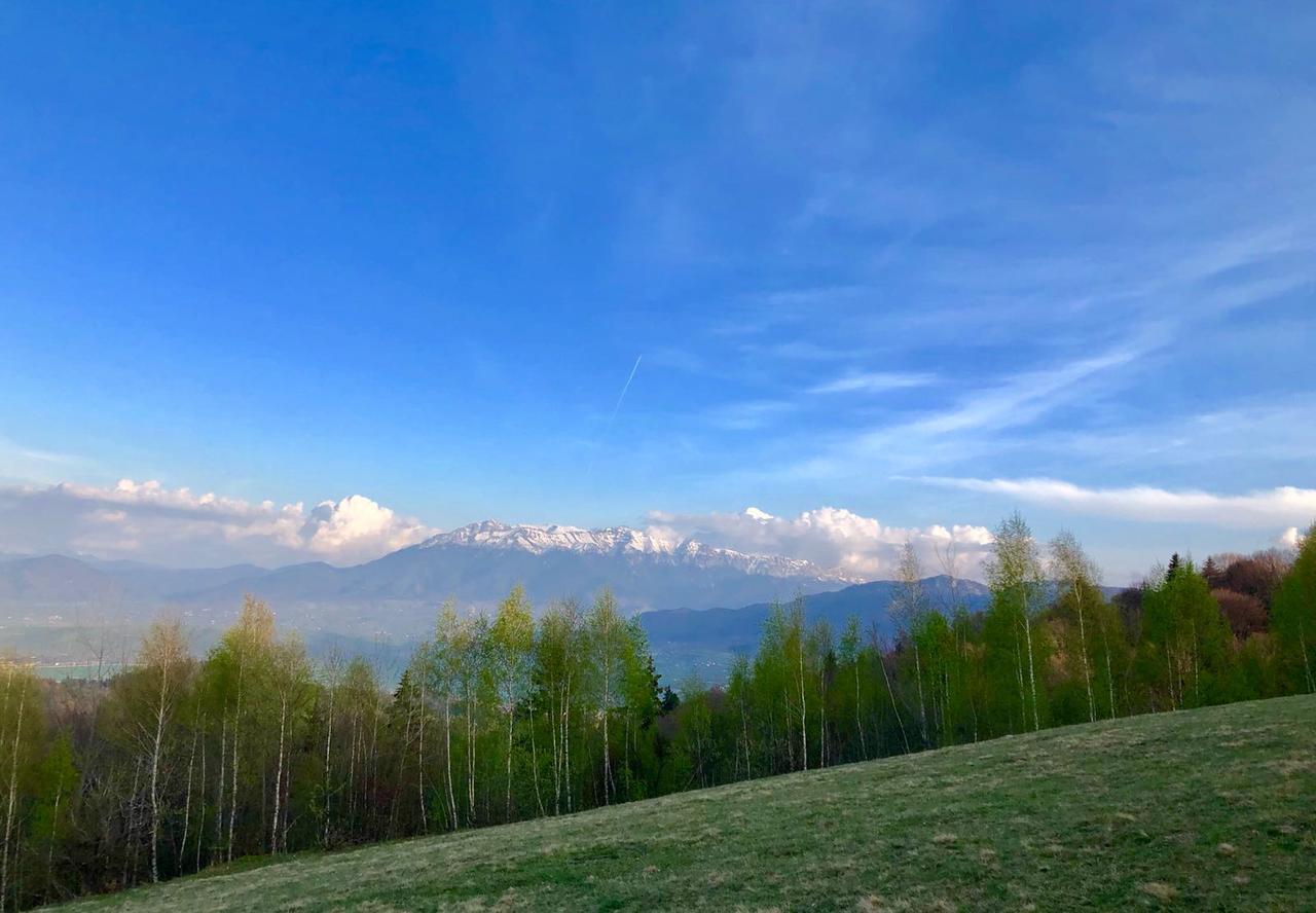 Pensiunea Poiana Viselor Poiana Mărului Exterior foto