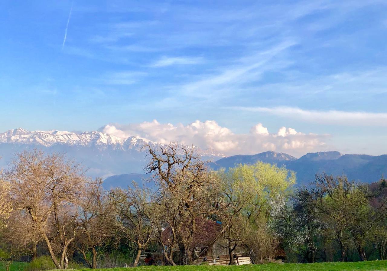 Pensiunea Poiana Viselor Poiana Mărului Exterior foto